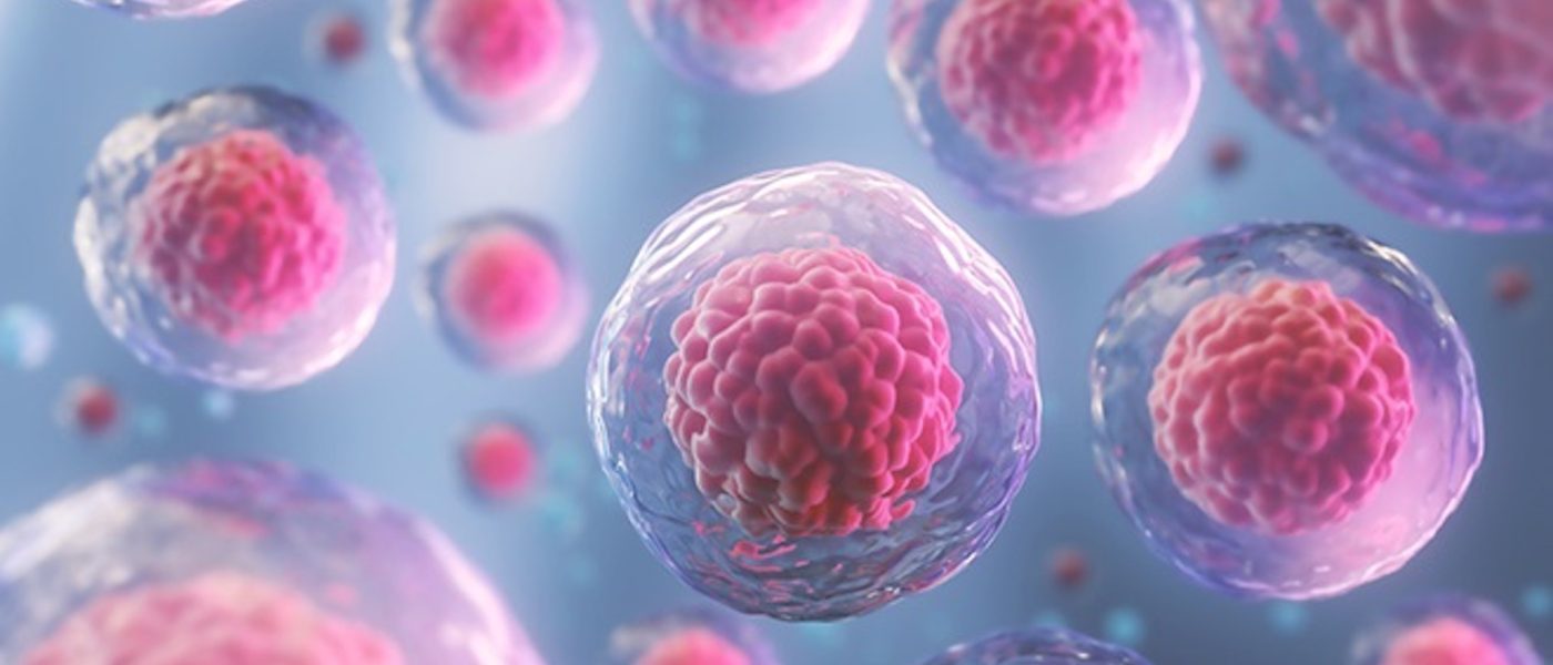 ISF “il SSN non tiene conto dell’evidenza scientifica, è fondamentale una collaborazione tra pubblico e privato per una corretta erogazione del servizio”