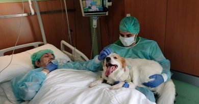 Niguarda, paziente rivede il suo cane a un anno dal ricovero: un incontro commovente