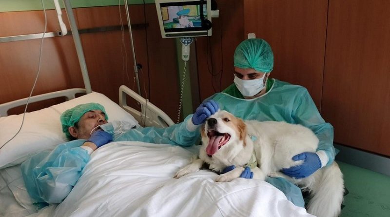 Niguarda, paziente rivede il suo cane a un anno dal ricovero: un incontro commovente