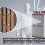 Ricercatori dell’UCSF creano un rene bioartificiale anti-rigetto