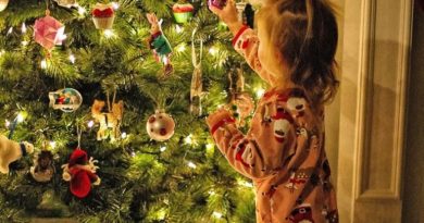 Natale: dai pediatri Sipps le 5 'A' per vivere le feste in serenità