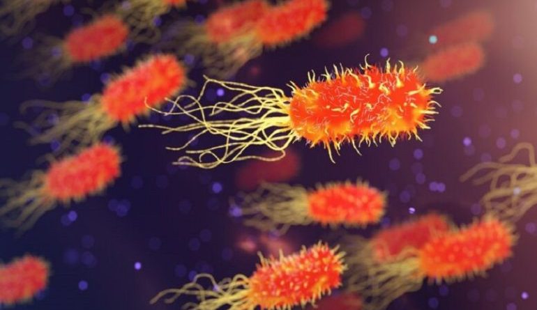 Super batteri, sviluppati nuovi polimeri in grado di combatterli